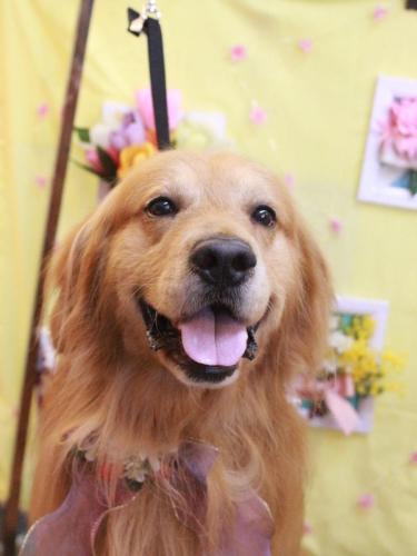 20230312レオくん